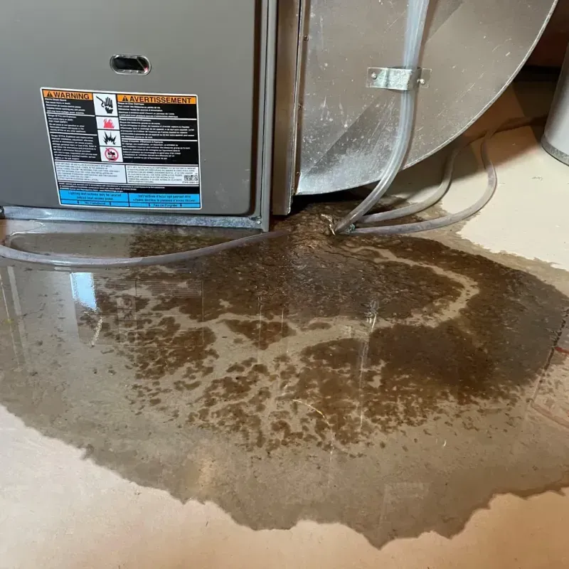 Appliance Leak Cleanup in Hillcrest, IL